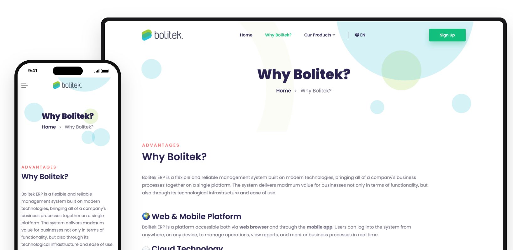 Why Bolitek?